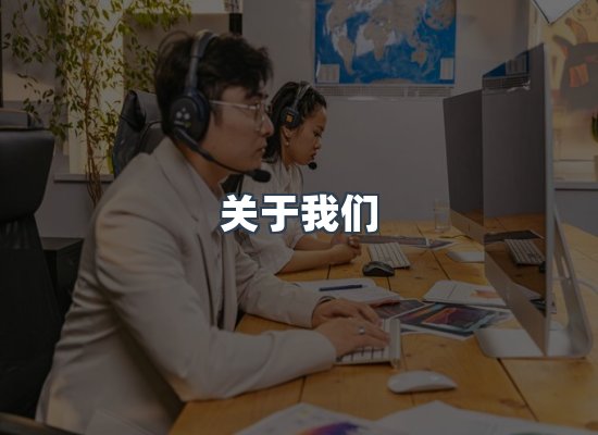 专业团队
