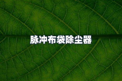 脉冲布袋除尘器